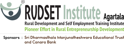 Rudset Institute Logo