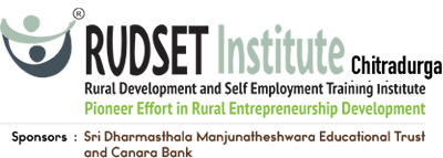 Rudset Institute Logo